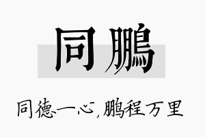 同鹏名字的寓意及含义