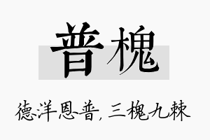 普槐名字的寓意及含义