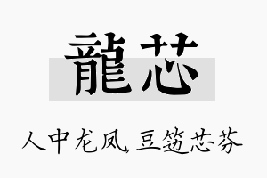 龙芯名字的寓意及含义