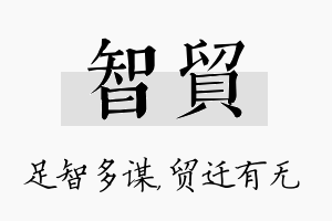 智贸名字的寓意及含义