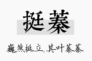 挺蓁名字的寓意及含义