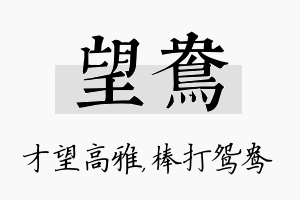 望鸯名字的寓意及含义