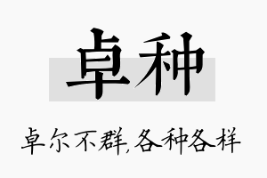 卓种名字的寓意及含义