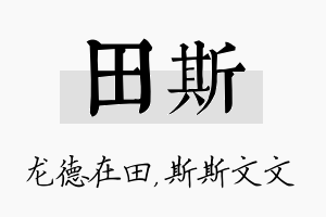 田斯名字的寓意及含义