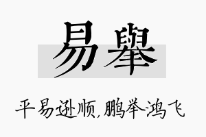 易举名字的寓意及含义