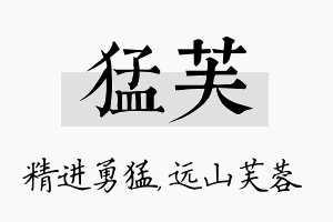 猛芙名字的寓意及含义