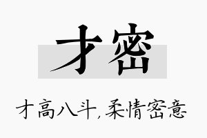 才密名字的寓意及含义