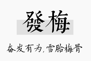 发梅名字的寓意及含义