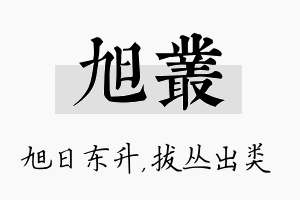 旭丛名字的寓意及含义