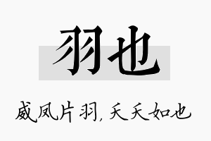 羽也名字的寓意及含义