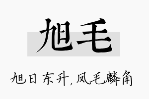 旭毛名字的寓意及含义