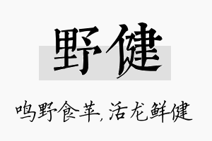 野健名字的寓意及含义