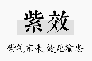 紫效名字的寓意及含义