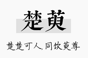 楚萸名字的寓意及含义