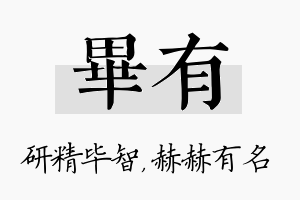 毕有名字的寓意及含义