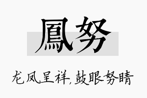 凤努名字的寓意及含义