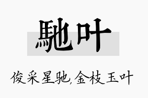 驰叶名字的寓意及含义