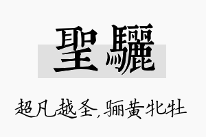 圣骊名字的寓意及含义