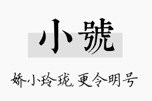 小号名字的寓意及含义