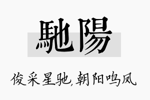 驰阳名字的寓意及含义