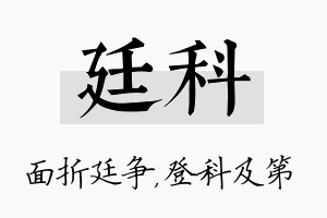 廷科名字的寓意及含义