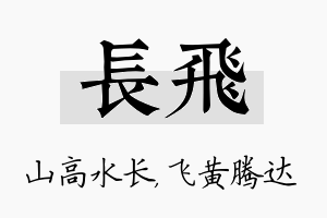 长飞名字的寓意及含义