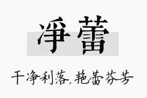 净蕾名字的寓意及含义