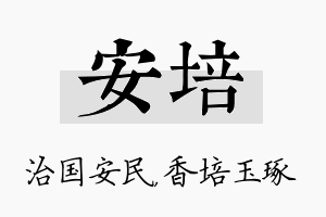 安培名字的寓意及含义