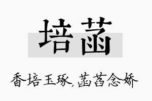 培菡名字的寓意及含义