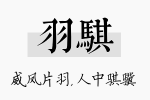 羽骐名字的寓意及含义