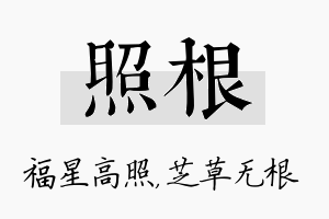 照根名字的寓意及含义