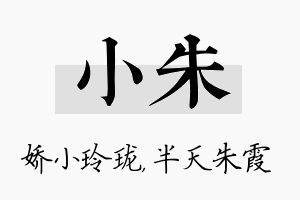 小朱名字的寓意及含义