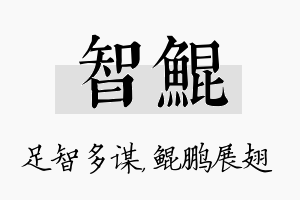 智鲲名字的寓意及含义