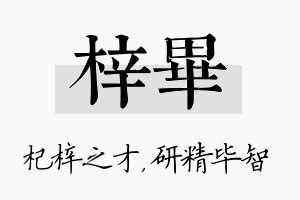 梓毕名字的寓意及含义