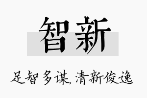 智新名字的寓意及含义