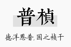 普桢名字的寓意及含义