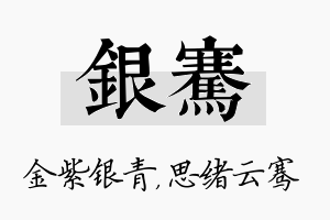 银骞名字的寓意及含义