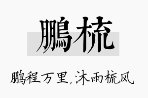 鹏梳名字的寓意及含义