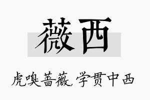 薇西名字的寓意及含义