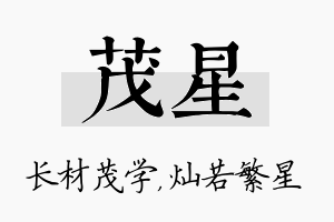 茂星名字的寓意及含义