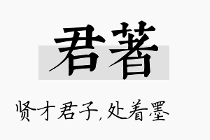 君着名字的寓意及含义