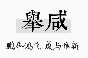 举咸名字的寓意及含义