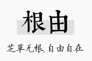 根由名字的寓意及含义