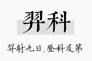 羿科名字的寓意及含义