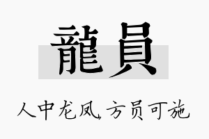 龙员名字的寓意及含义