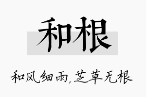 和根名字的寓意及含义