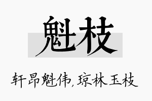 魁枝名字的寓意及含义