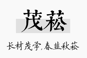 茂菘名字的寓意及含义