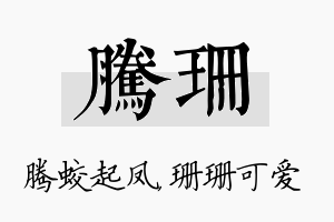 腾珊名字的寓意及含义