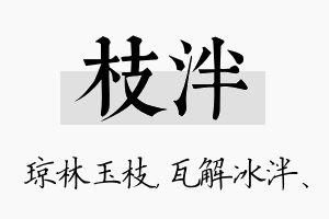 枝泮名字的寓意及含义